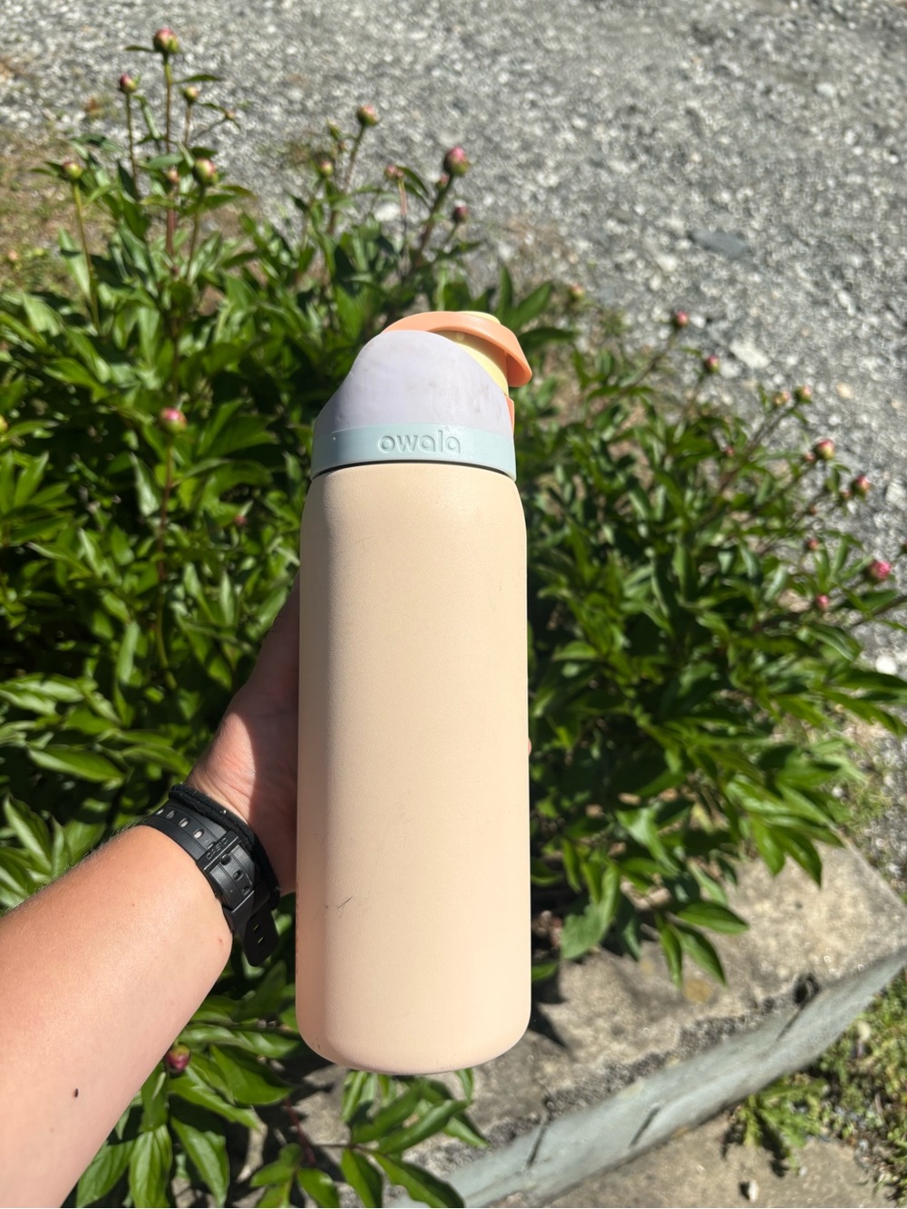 Owala Peach Stainless Water Bottle with Pastel Lid